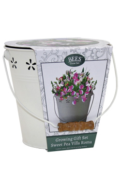 Sweet Pea Bucket